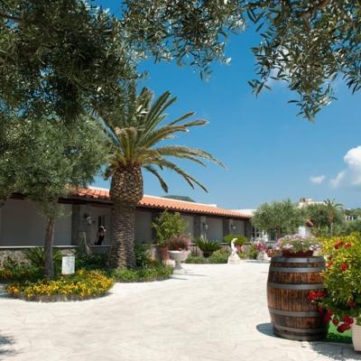 Residence Le Vigne (Vico 3 Fortino 12-14 80075 Ischia)